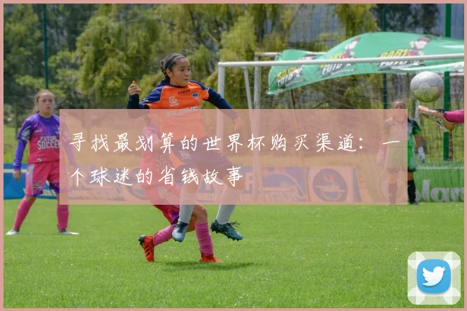 寻找最划算的世界杯购买渠道：一个球迷的省钱故事