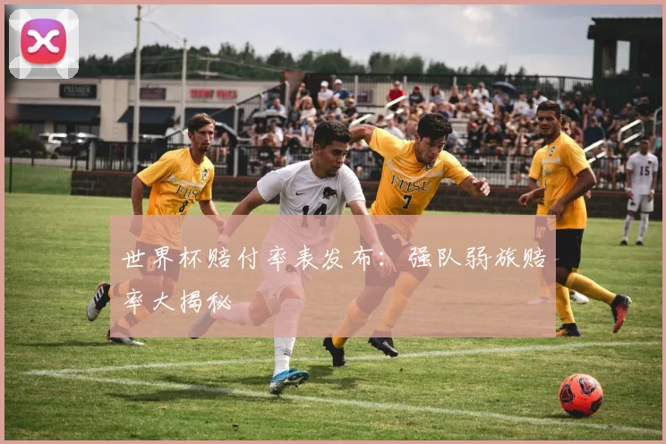 世界杯赔付率表发布：强队弱旅赔率大揭秘