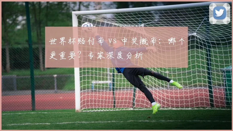 世界杯赔付率 vs 中奖概率:哪个更重要?专家深度分析